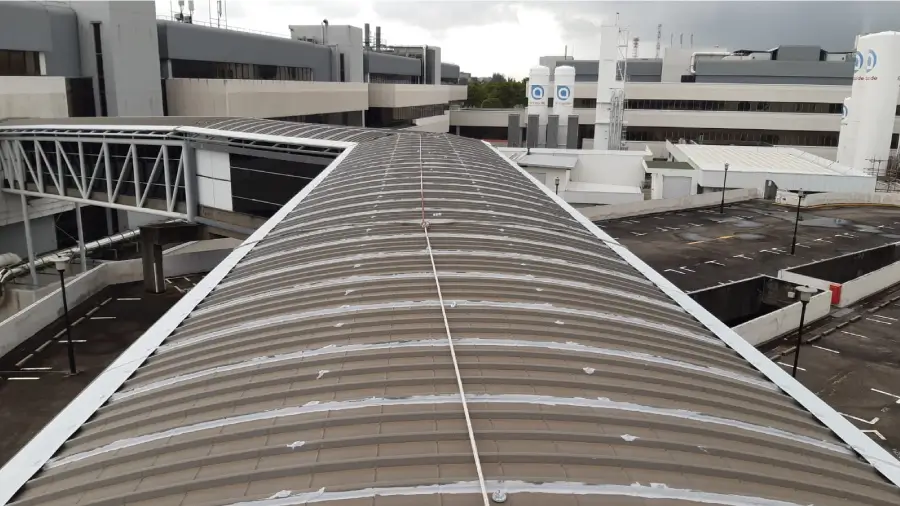 RD_WT_img_V1 RD_WT_img_V1